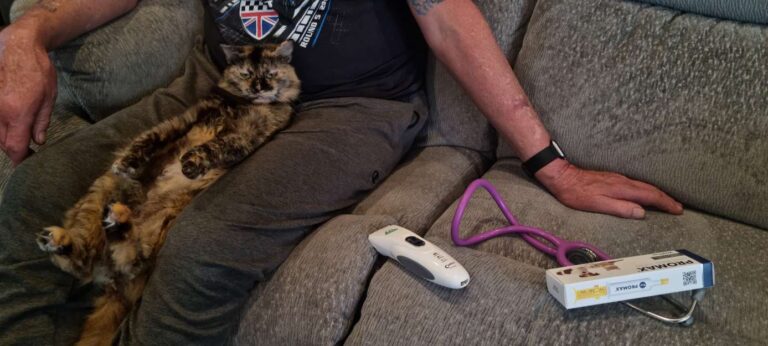 Cute photo of cat in owners lap at home